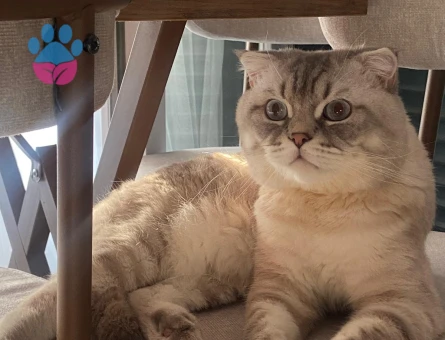 OĞLUMUZA EŞ ARIYORUZ