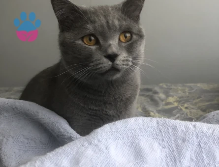 Yakışıklı oğlumuza eş arıyoruz!