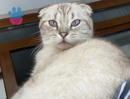 Buluta eş arıyoruz