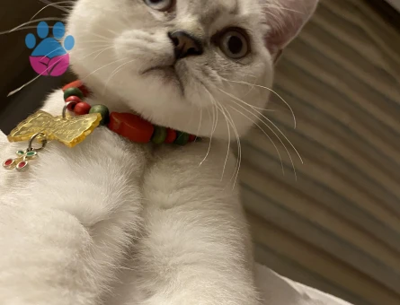 YAKIŞIKLI OĞLUMA EŞ ARIYORUZ 🔥😍