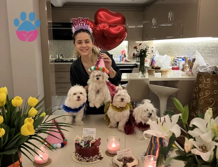 Pamuk tecrübeli oğluma eş arıyoruz