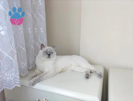 Bulutumuza Eş Arıyoruz