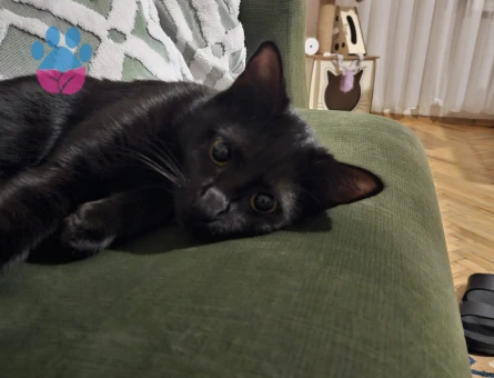 KIZIMIZA ACİL EŞ ARIYORUZ