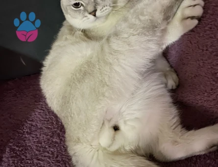 YAKIŞIKLI OĞLUMA EŞ ARIYORUZ 👀