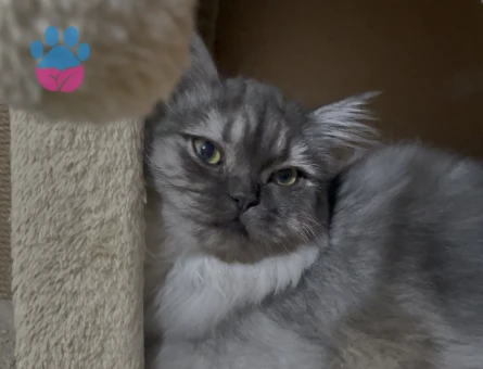 Kızımız ve Oğlumuz için eş arıyoruz