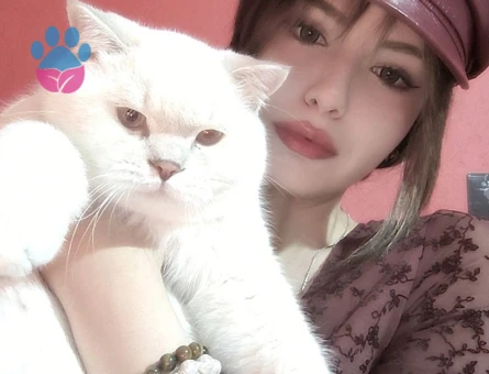 Alfa Gojo Bey Esini Arıyor 🤍