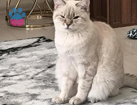 1.5 yaşındaki oğlumuz için eş arıyoruz