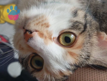 GÜZELİMİZE EŞ ARIYORUZ