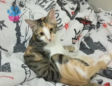 GÜZELİMİZE EŞ ARIYORUZ