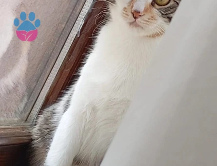 GÜZELİMİZE EŞ ARIYORUZ