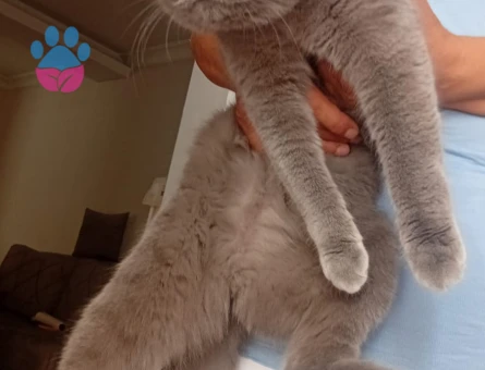 Mina ya eş ariyoruz