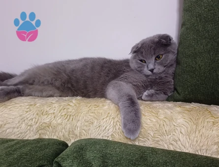 Mina ya eş ariyoruz