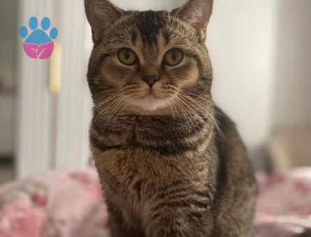 Oğluma eş arıyorum