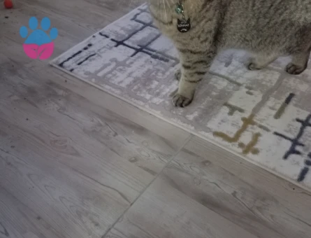 1 yaşındaki kızımıza gecelik koca arariz