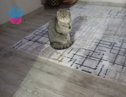 1 yaşındaki kızımıza gecelik koca arariz