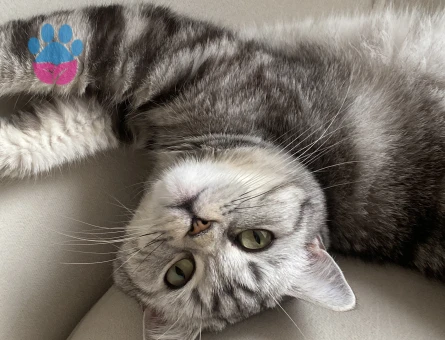 2 yaşındaki kızımıza erkek aday arıyoruz