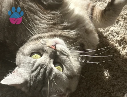 2 yaşındaki kızımıza erkek aday arıyoruz