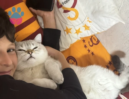 Oğluşumuza eş arıyoruz