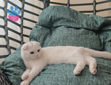 Oğlumuz behlül  için gelin adayı arıyoruz