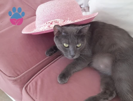 Biriciğime eş arıyoruz.