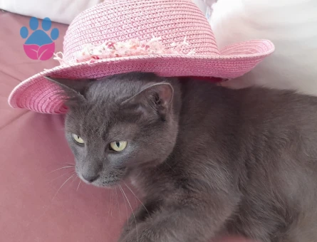 Biriciğime eş arıyoruz.