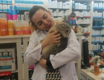 Oğlumuza dişi eş arıyoruz