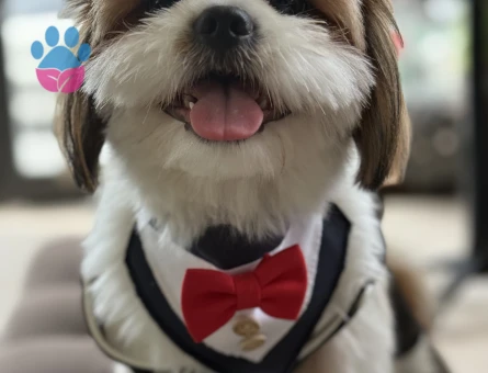 Yakışıklı Oğlumuza Gelin Arıyoruz