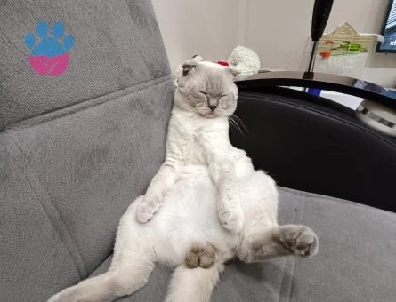 Oğlumuza Eş Arıyoruz