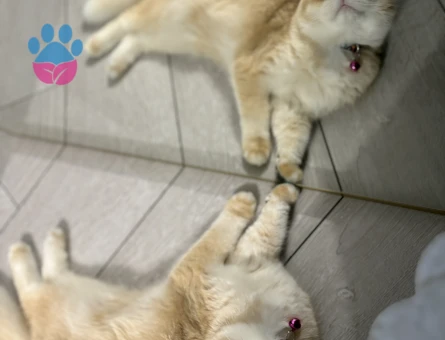 GOLDEN GÜZELLIK ABİDESİ KIZIMIZ