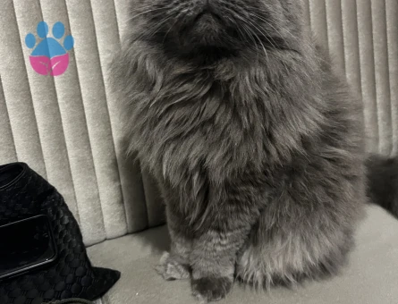 Oğlum dünya yakışıklısı