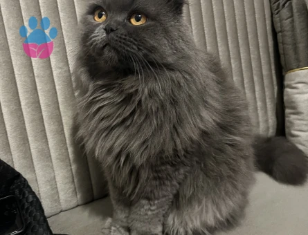 Oğlum dünya yakışıklısı