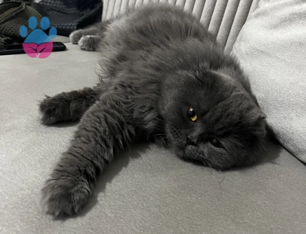 Oğlum dünya yakışıklısı