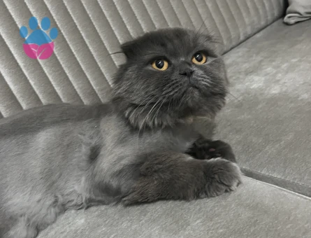 Oğlum dünya yakışıklısı