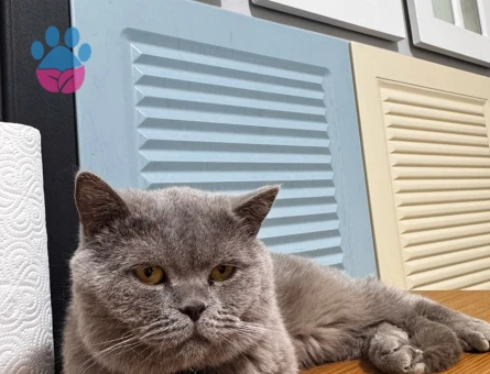 OĞLUMUZA EŞ ARIYORUZ