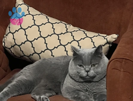 Halley⭐️ için eş arıyorum