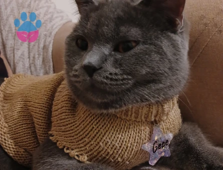 Güzel kızıma eş arıyorum