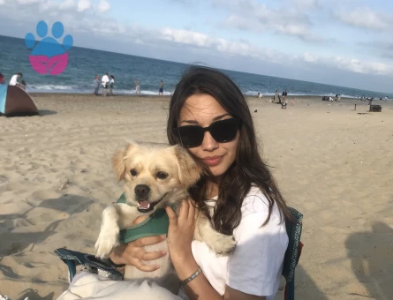 Yakışıklı oğluma dişi arıyorum