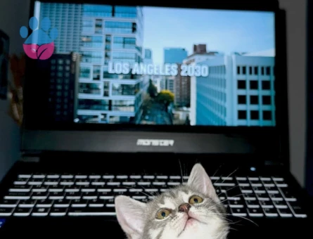 9 aylık kızıma eş arıyorum