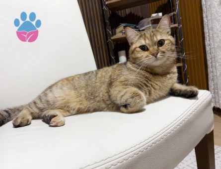 Balıma erkek eş arıyoruz