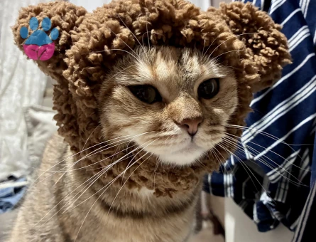 Balıma erkek eş arıyoruz