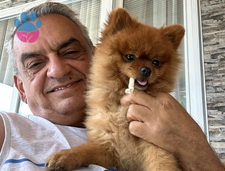 Yakışıklı oğluma eş arıyorum