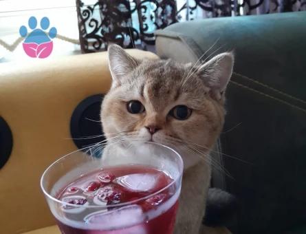 ACİLLLLL!!! Oğluşuma eş arıyorum