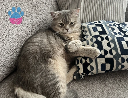 Oğluşuma arkadaş arıyorum.