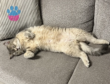 Oğluşuma arkadaş arıyorum.