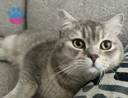 Oğluşuma arkadaş arıyorum.