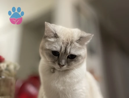 LÜTFEN AÇIKLAMAYI OKUYUN