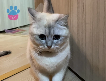 LÜTFEN AÇIKLAMAYI OKUYUN