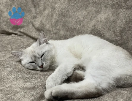 LÜTFEN AÇIKLAMAYI OKUYUN