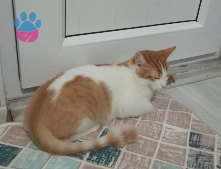 Narinimize Eş arıyoruz