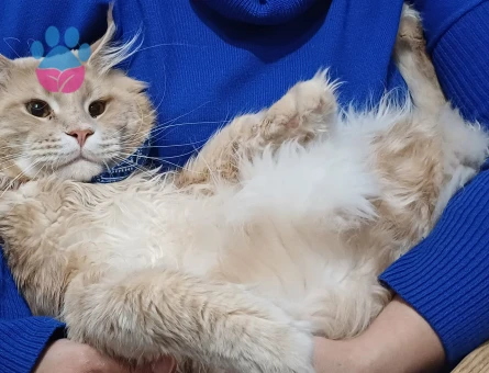 Oğlumuz Behlül'le eş arıyoruz